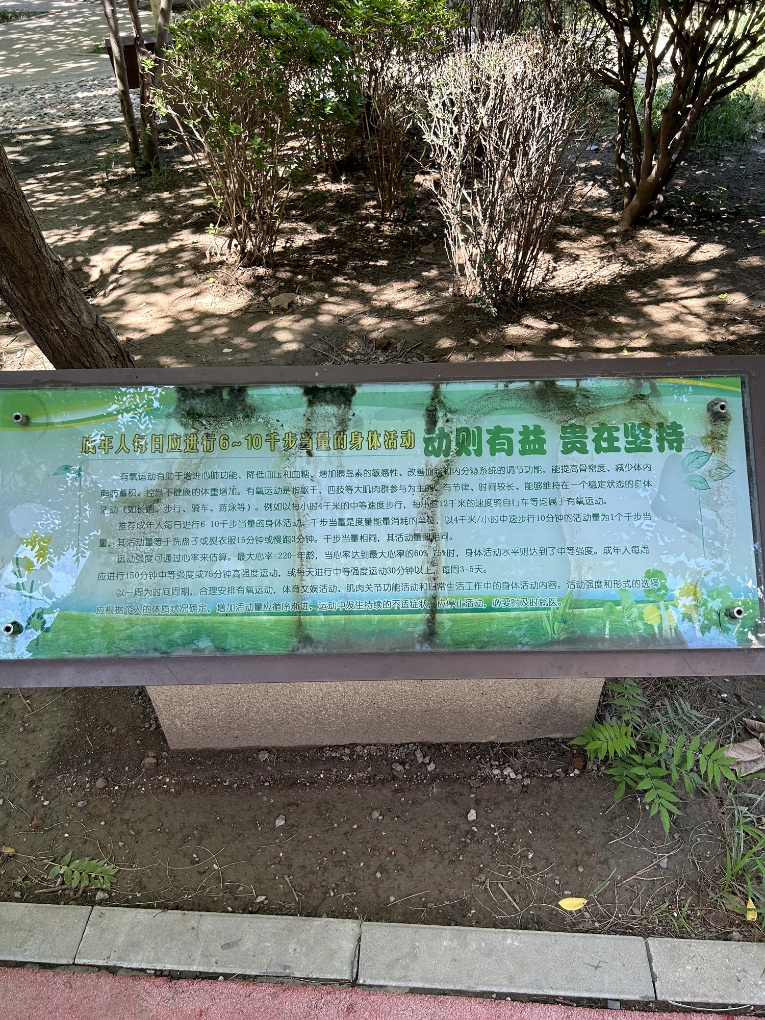 和平区健康主题公园旅行图片 3