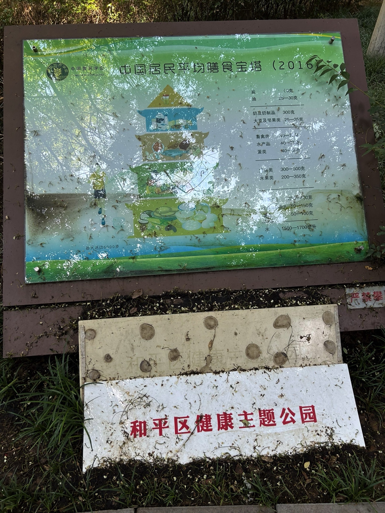 和平区健康主题公园旅行图片 1