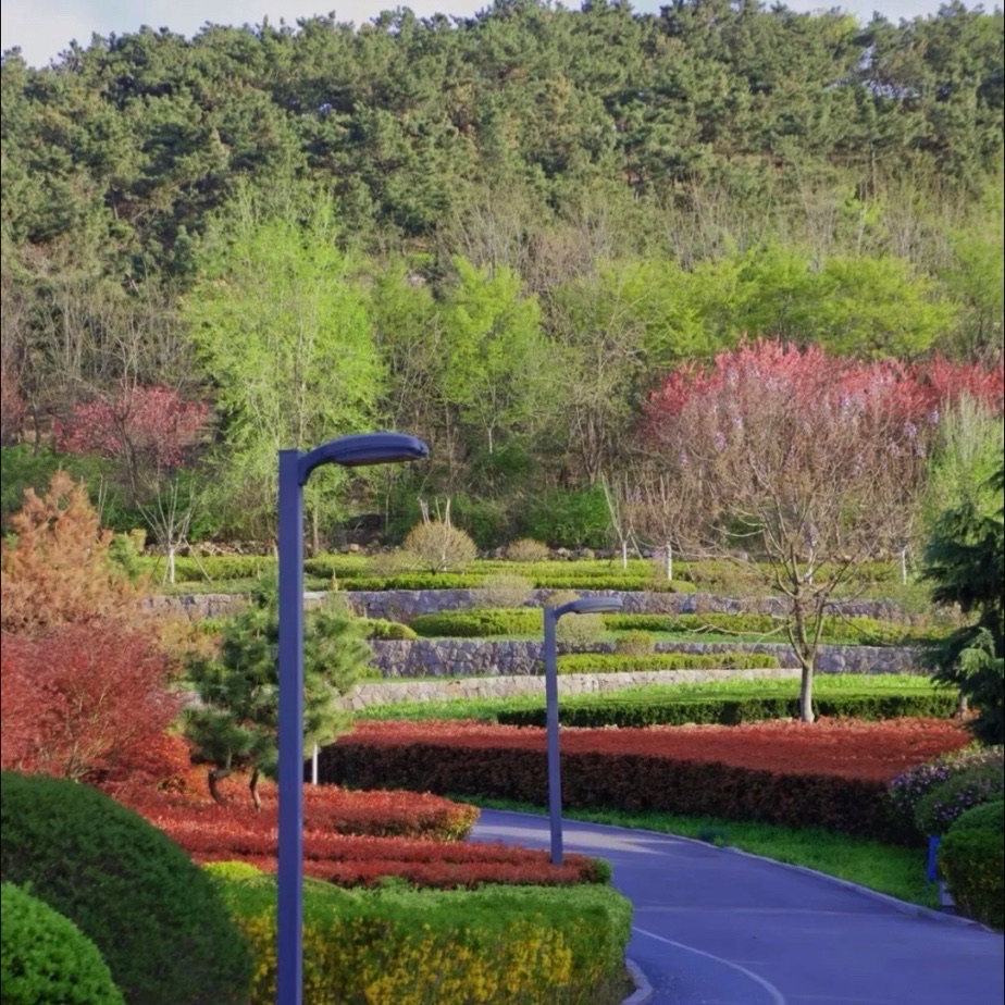 双山公园旅行图片 1