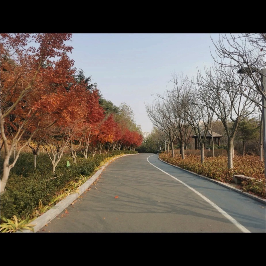 双山公园旅行图片 2