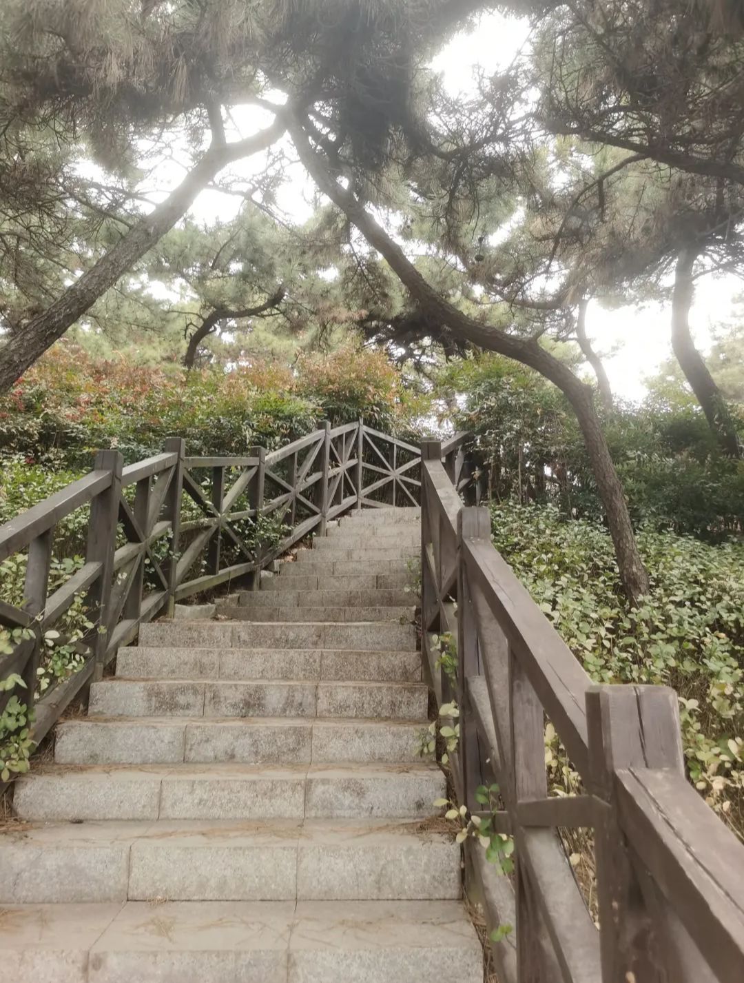 双山公园旅行图片 3