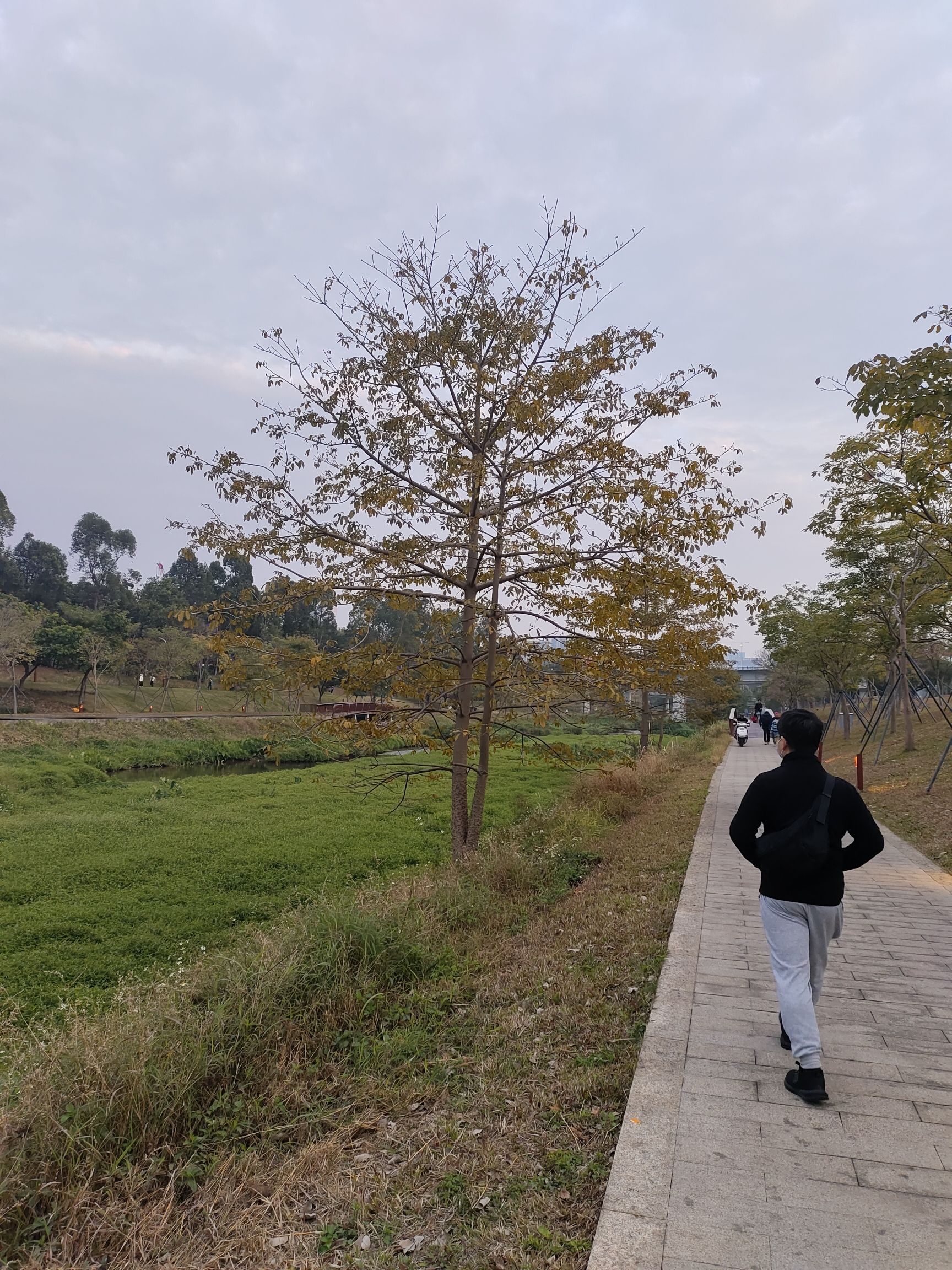 大沙河生态长廊旅行图片 2