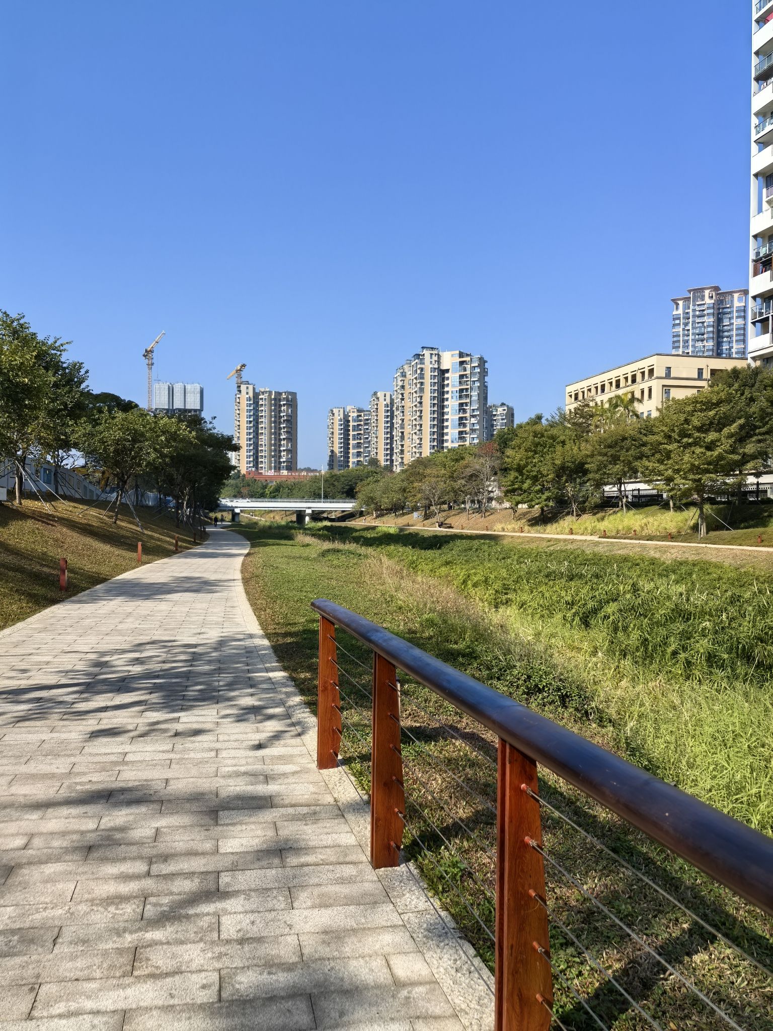 大沙河生态长廊旅行图片 3