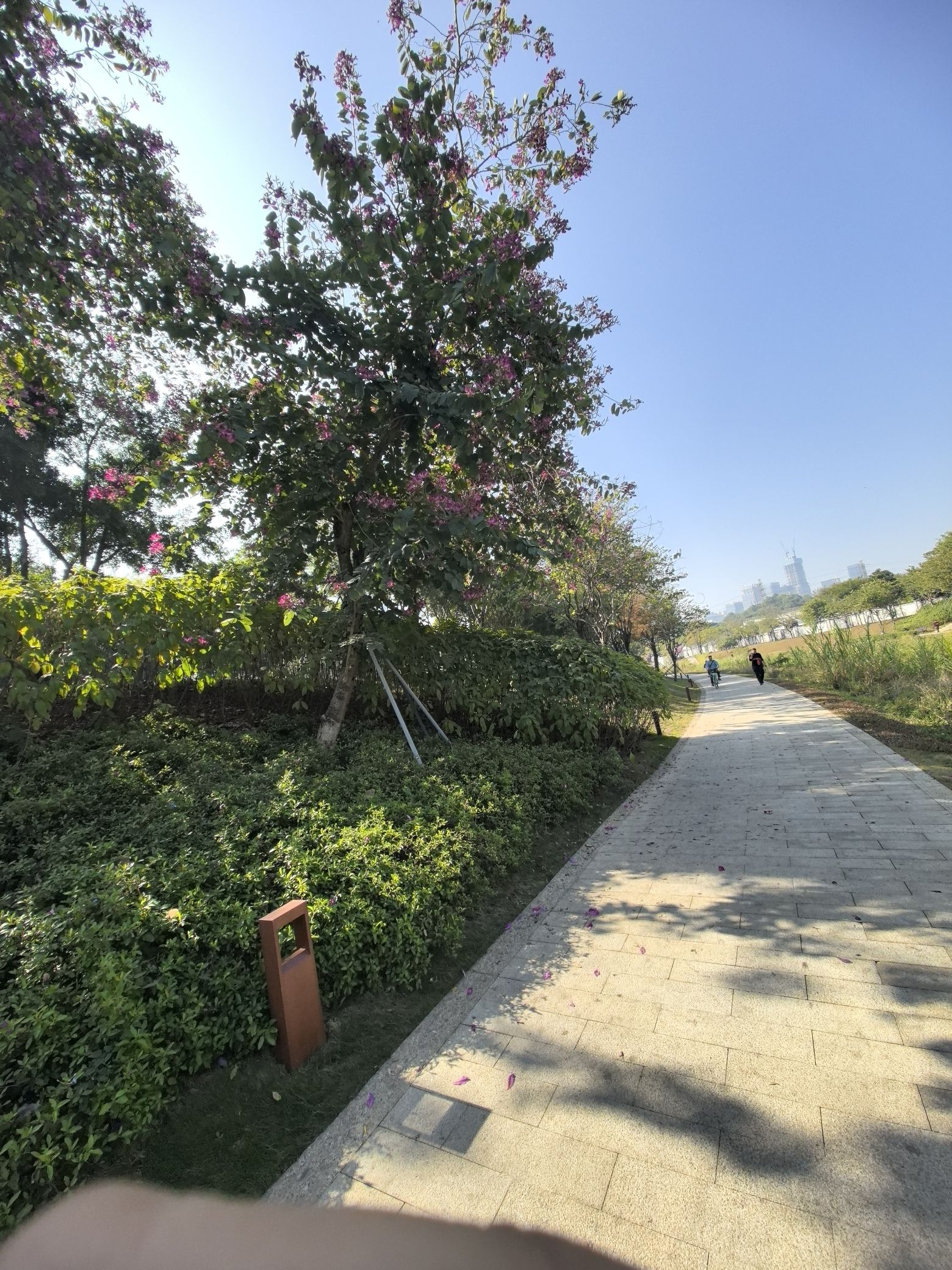 大沙河生态长廊旅行图片 1