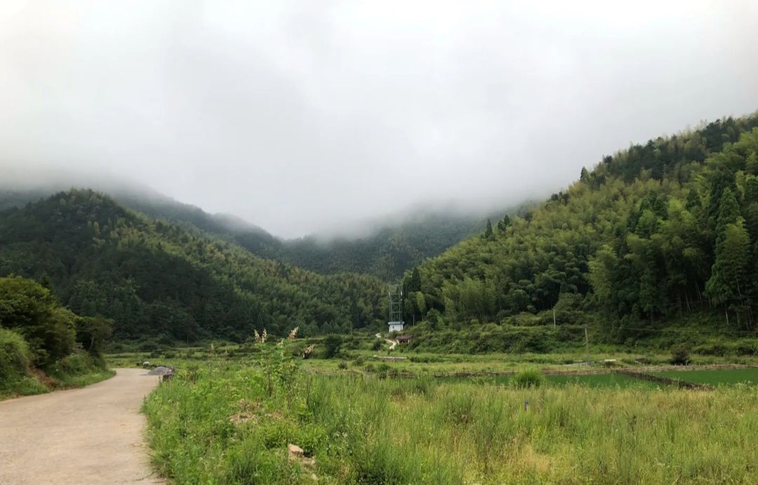 罗垟古村旅行图片 2