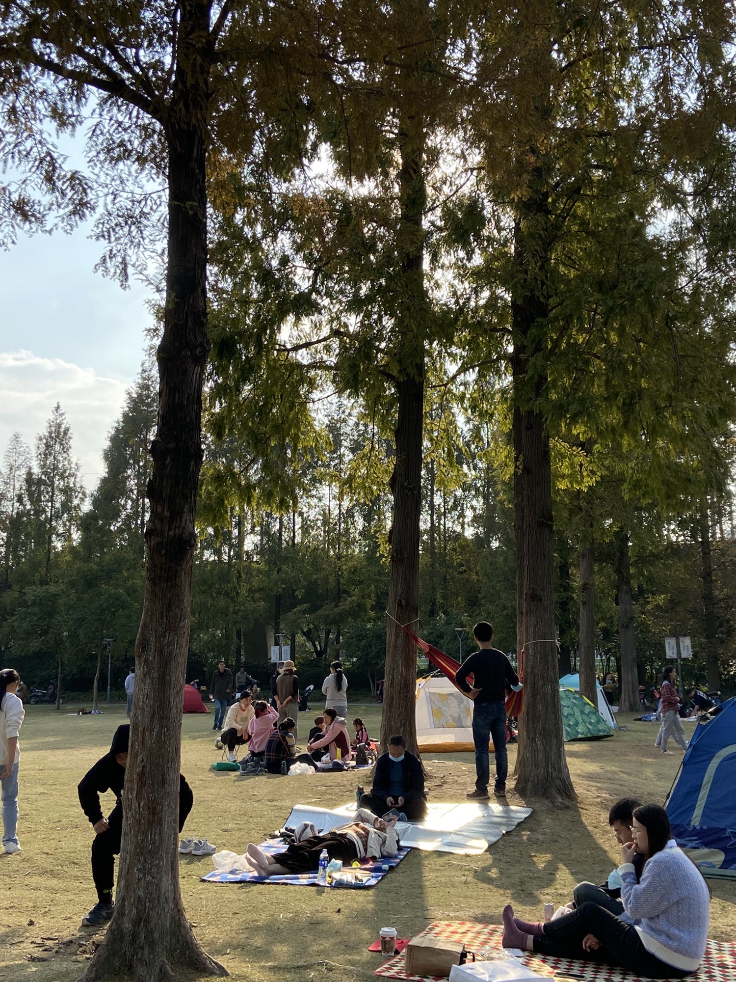 银都绿地旅行图片 1