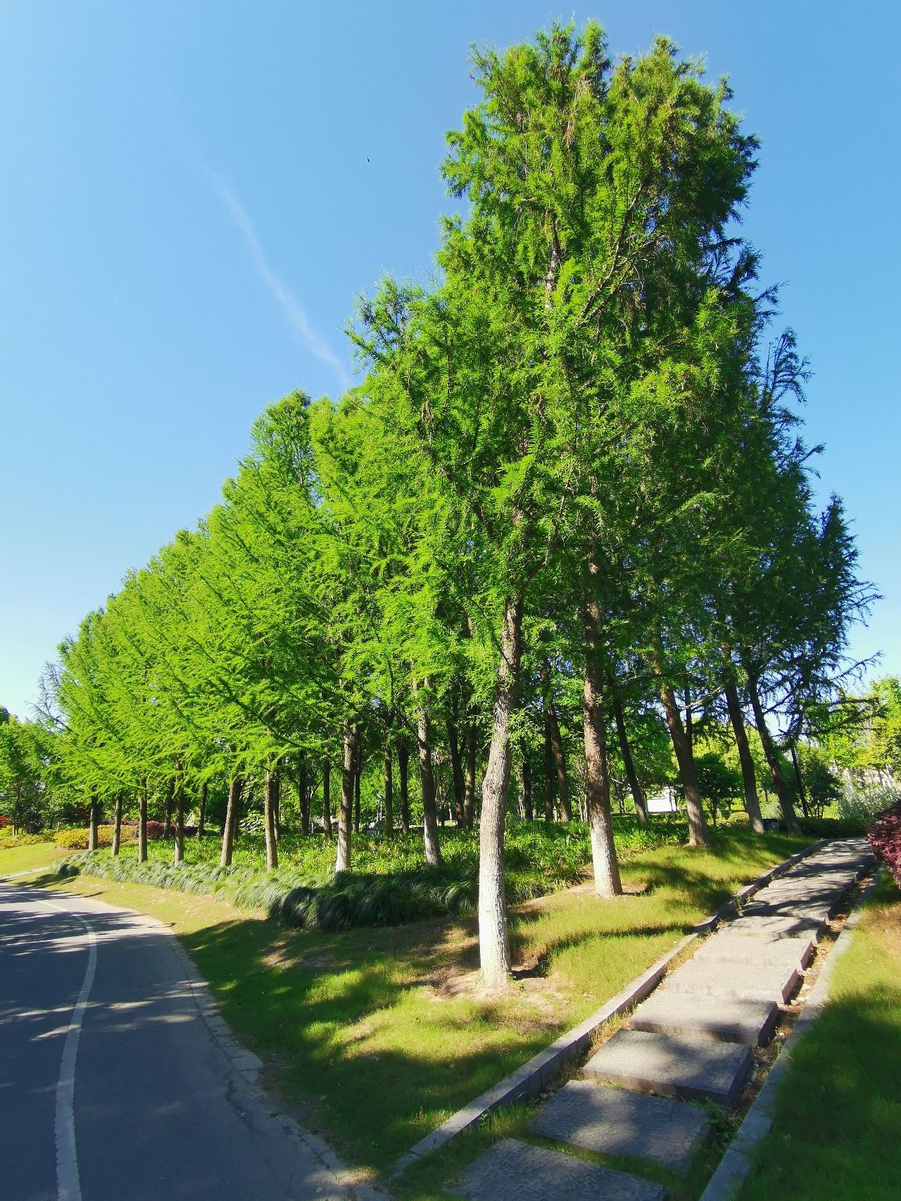 银都绿地旅行图片 2