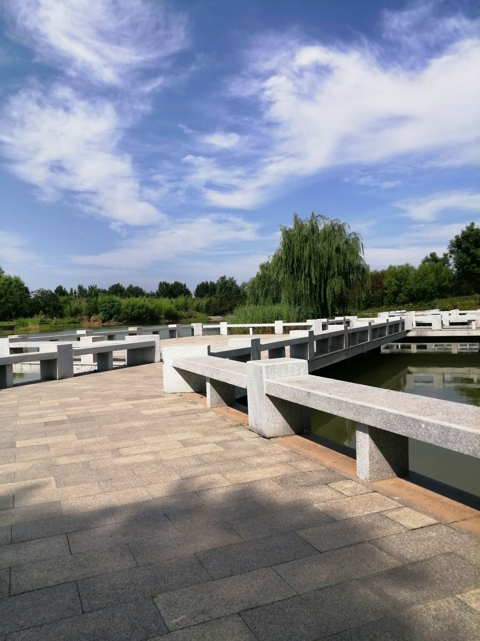 任城森林公园旅行图片 3