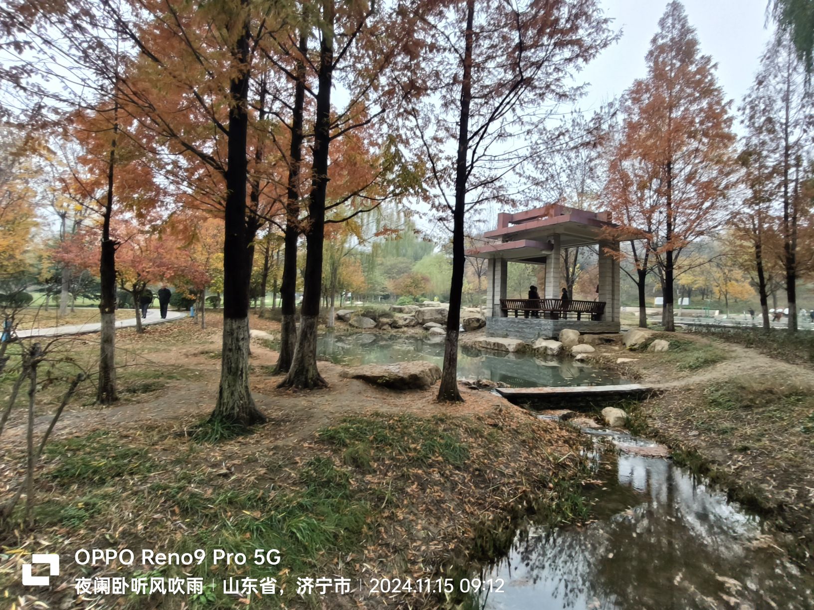 任城森林公园旅行图片 2