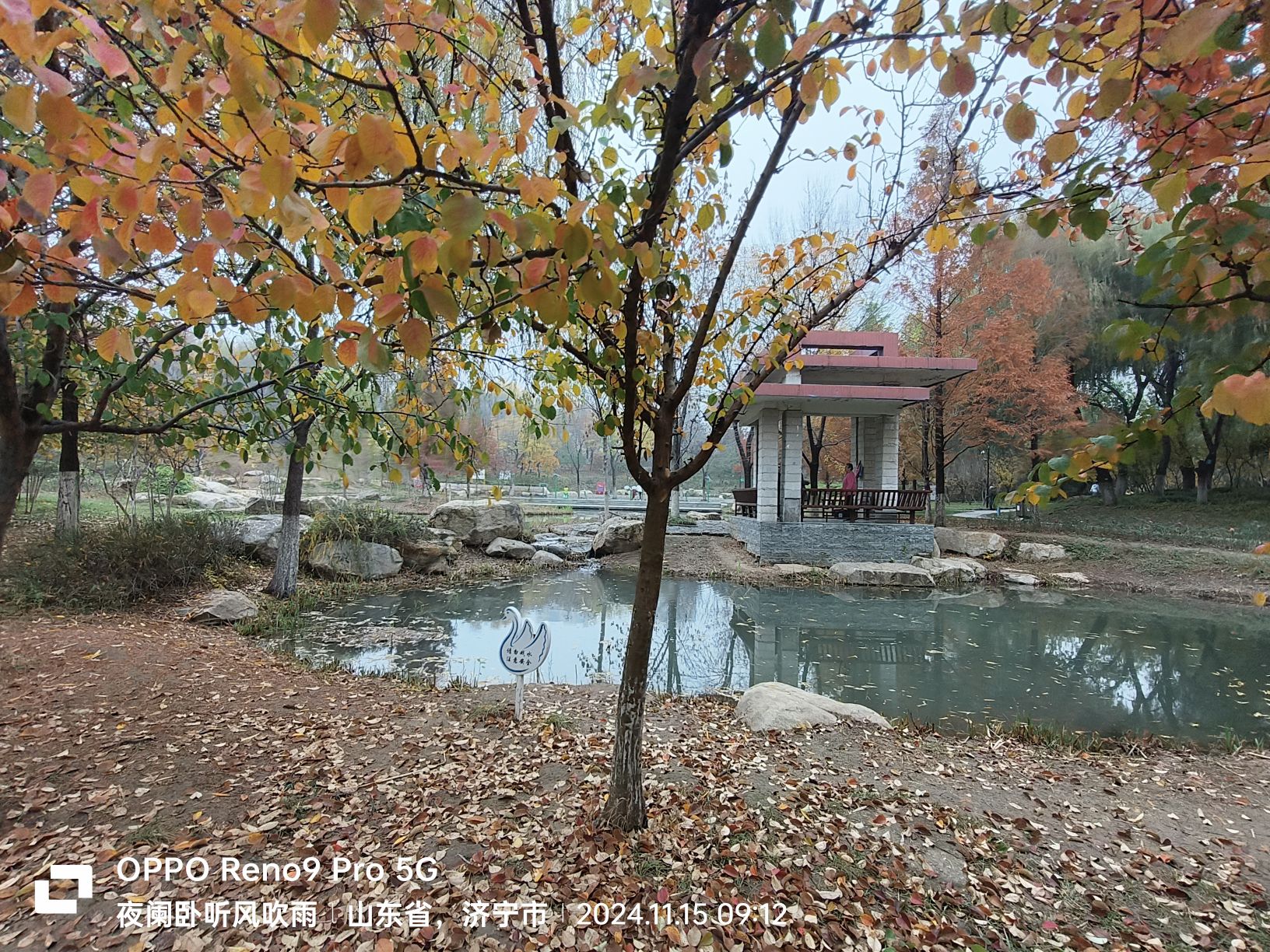任城森林公园旅行图片 1