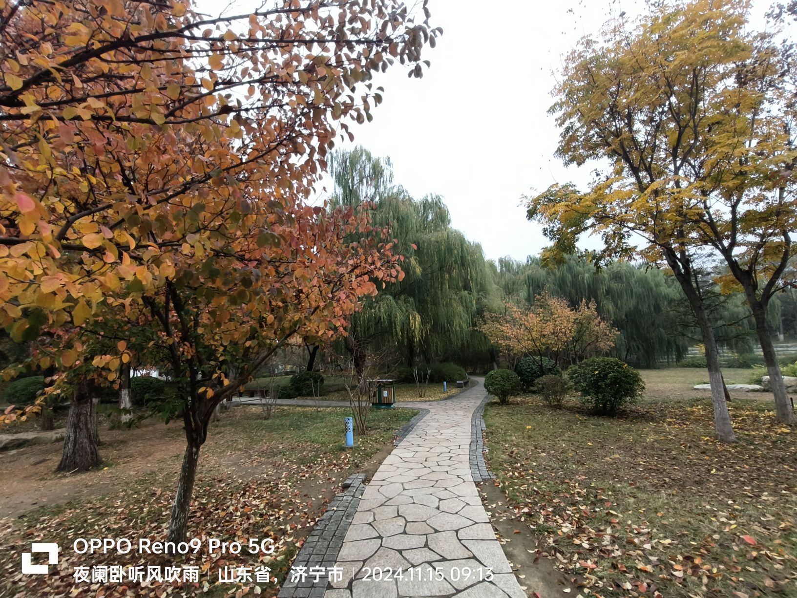 任城森林公园旅行图片 3