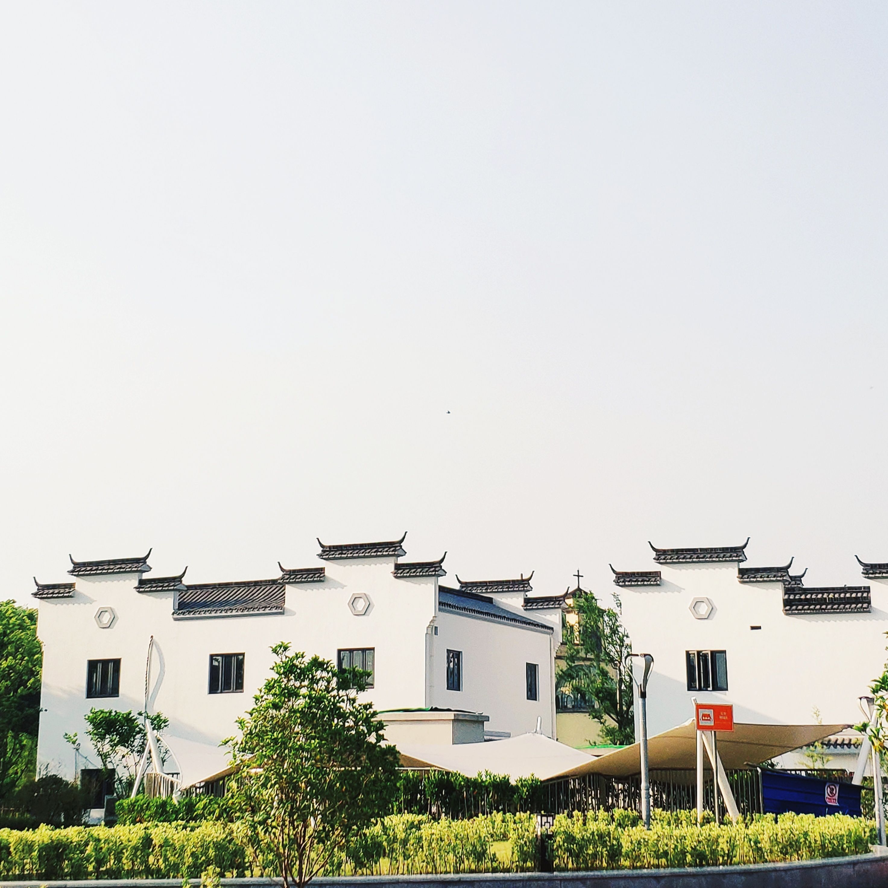 中新泾公园旅行图片 1
