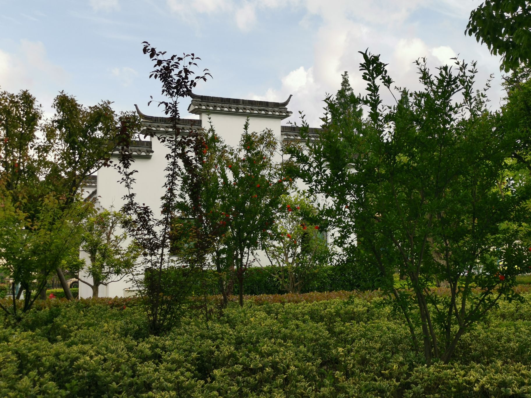中新泾公园旅行图片 2