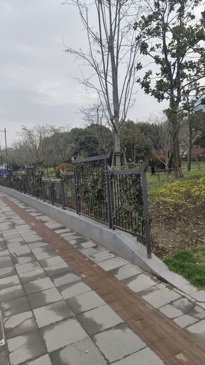 中新泾公园旅行图片 2