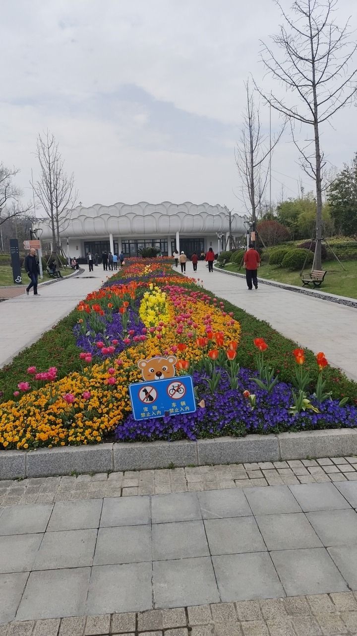 中新泾公园旅行图片 3