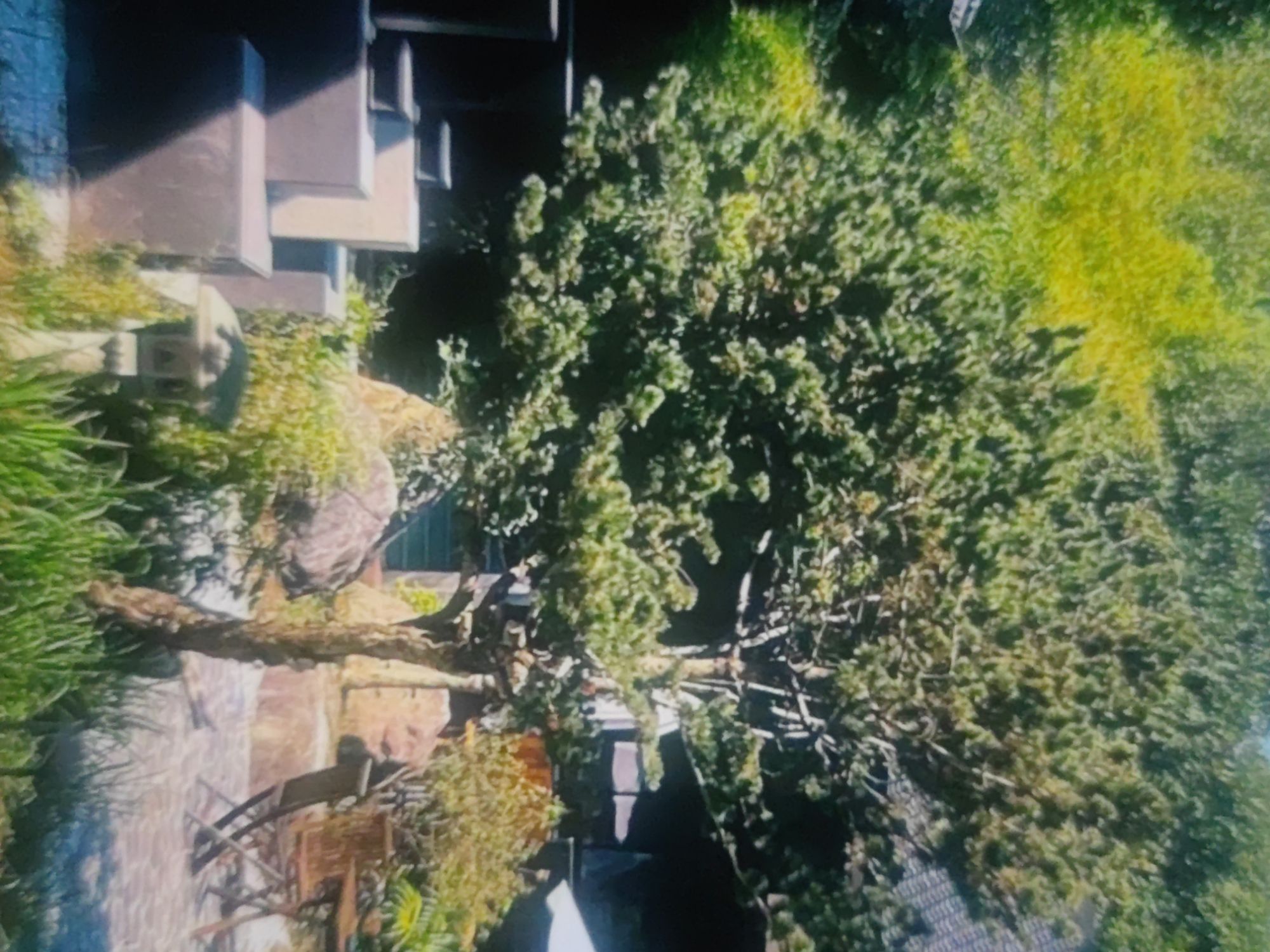 西南湖生态公园旅行图片
