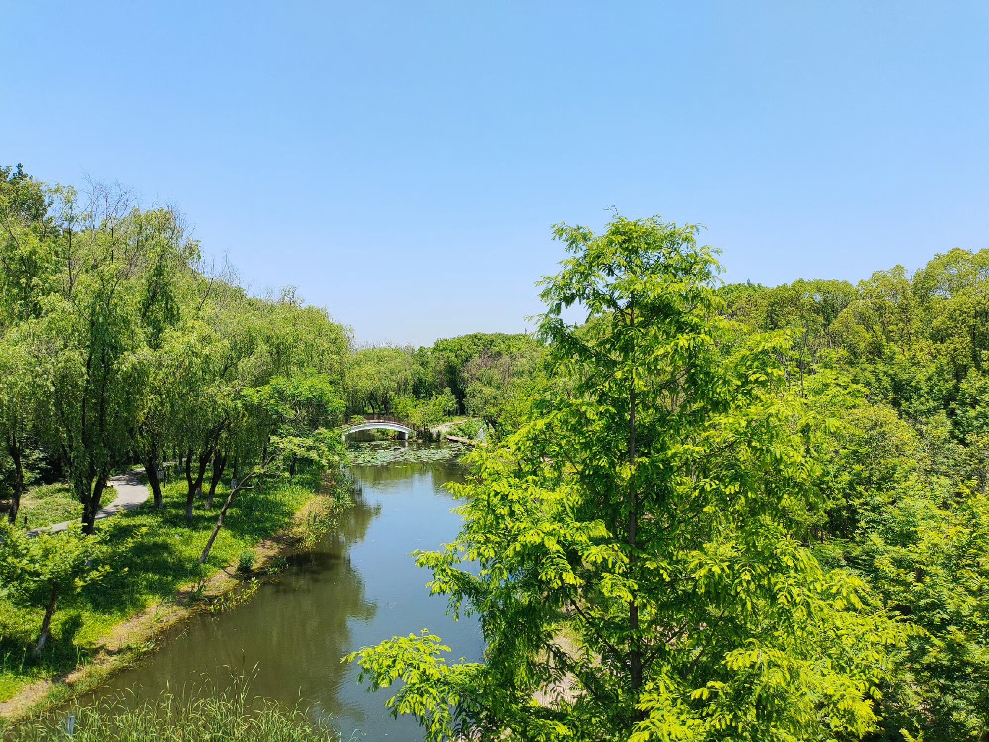 西南湖生态公园旅行图片 2