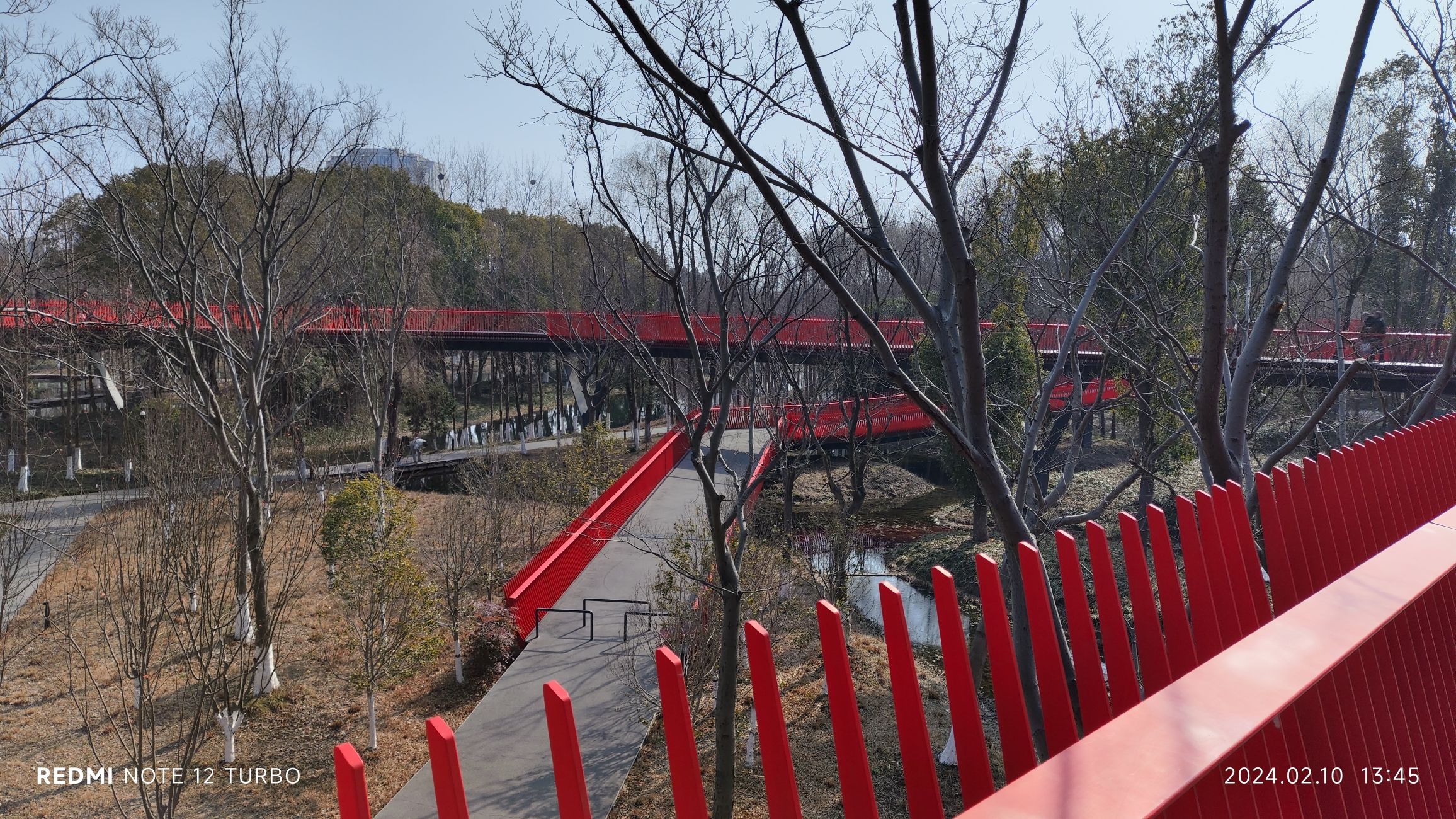 西南湖生态公园旅行图片 3