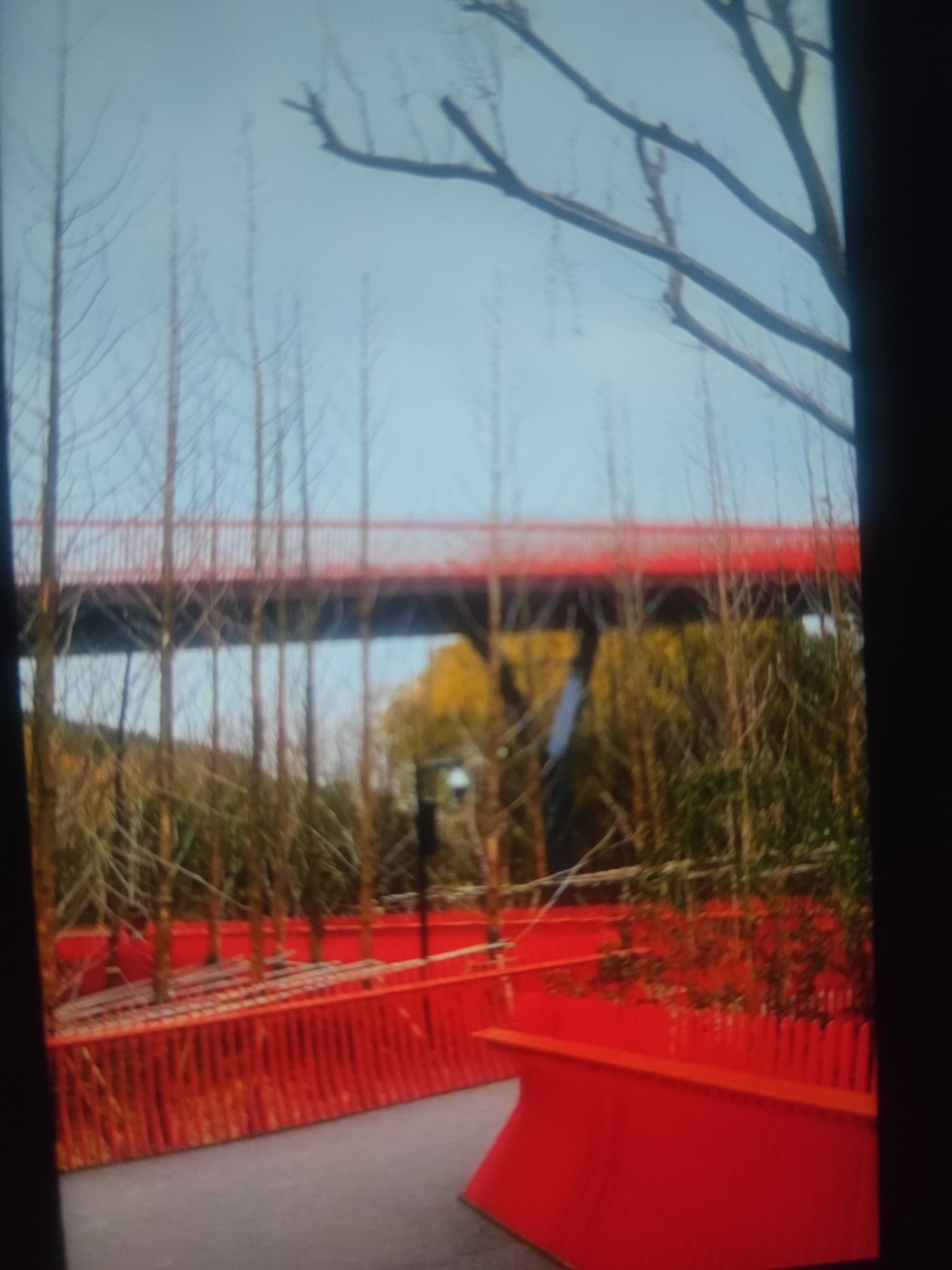 西南湖生态公园旅行图片 3