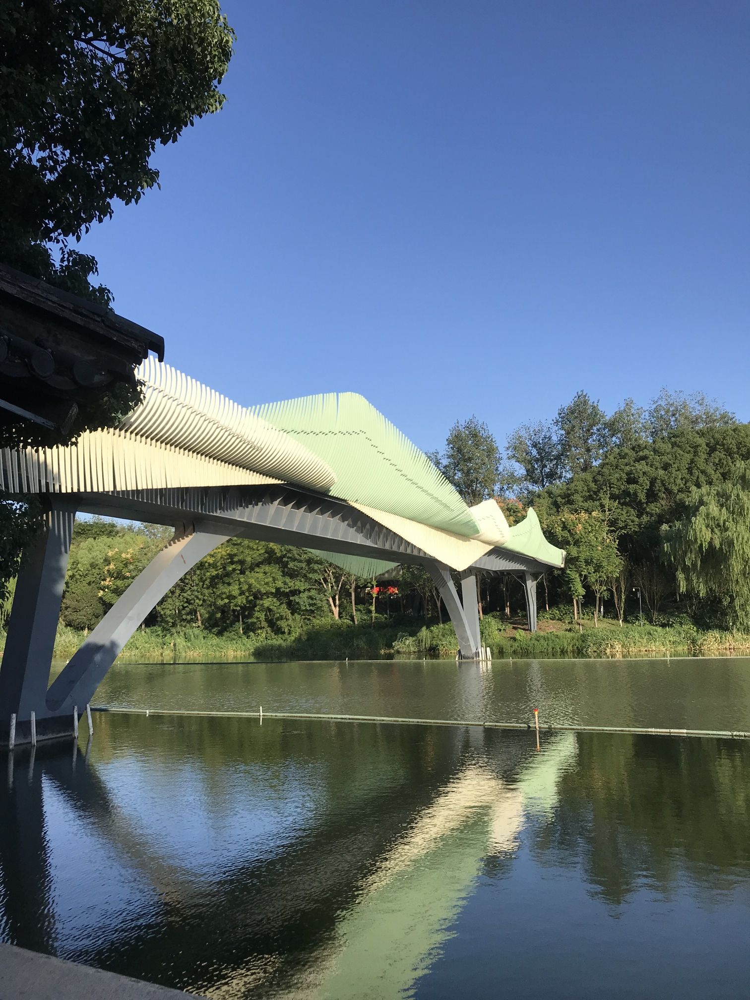 西南湖生态公园旅行图片 1
