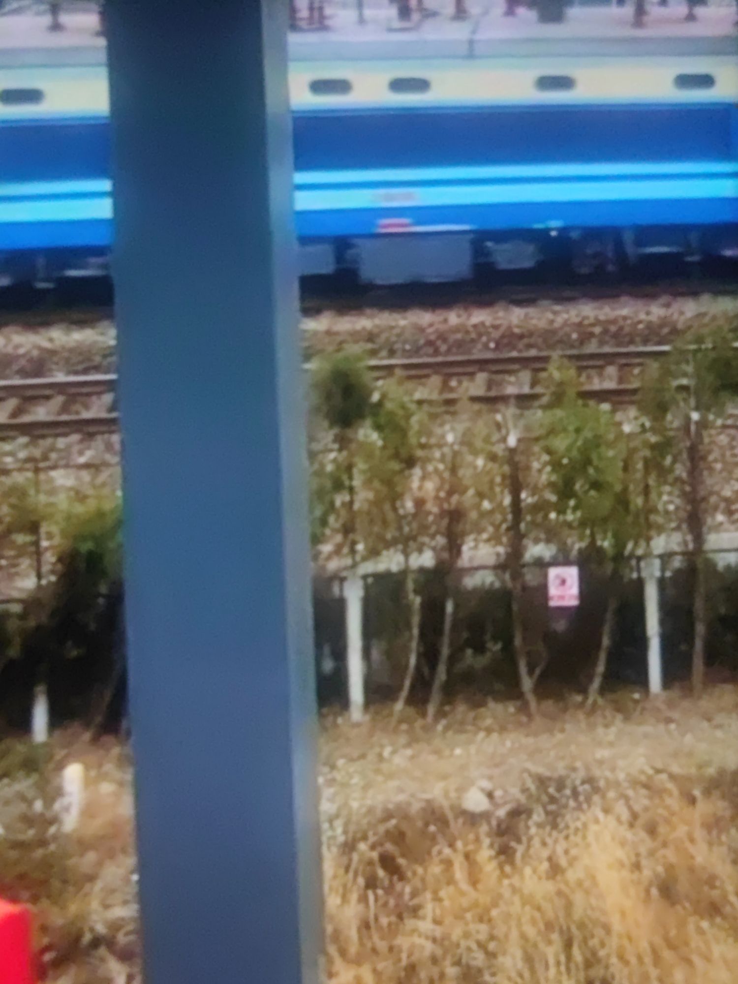 西南湖生态公园旅行图片 2