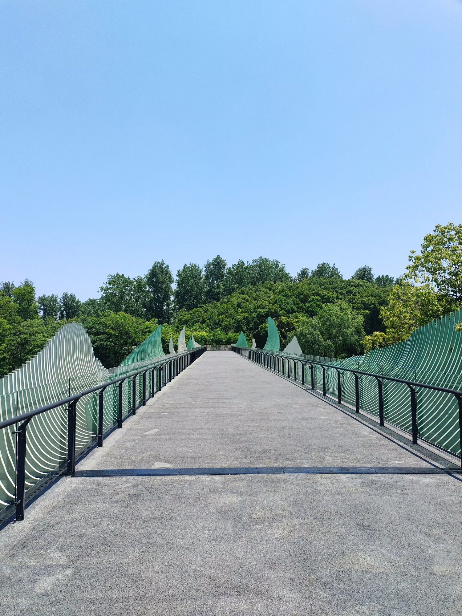 西南湖生态公园旅行图片 3