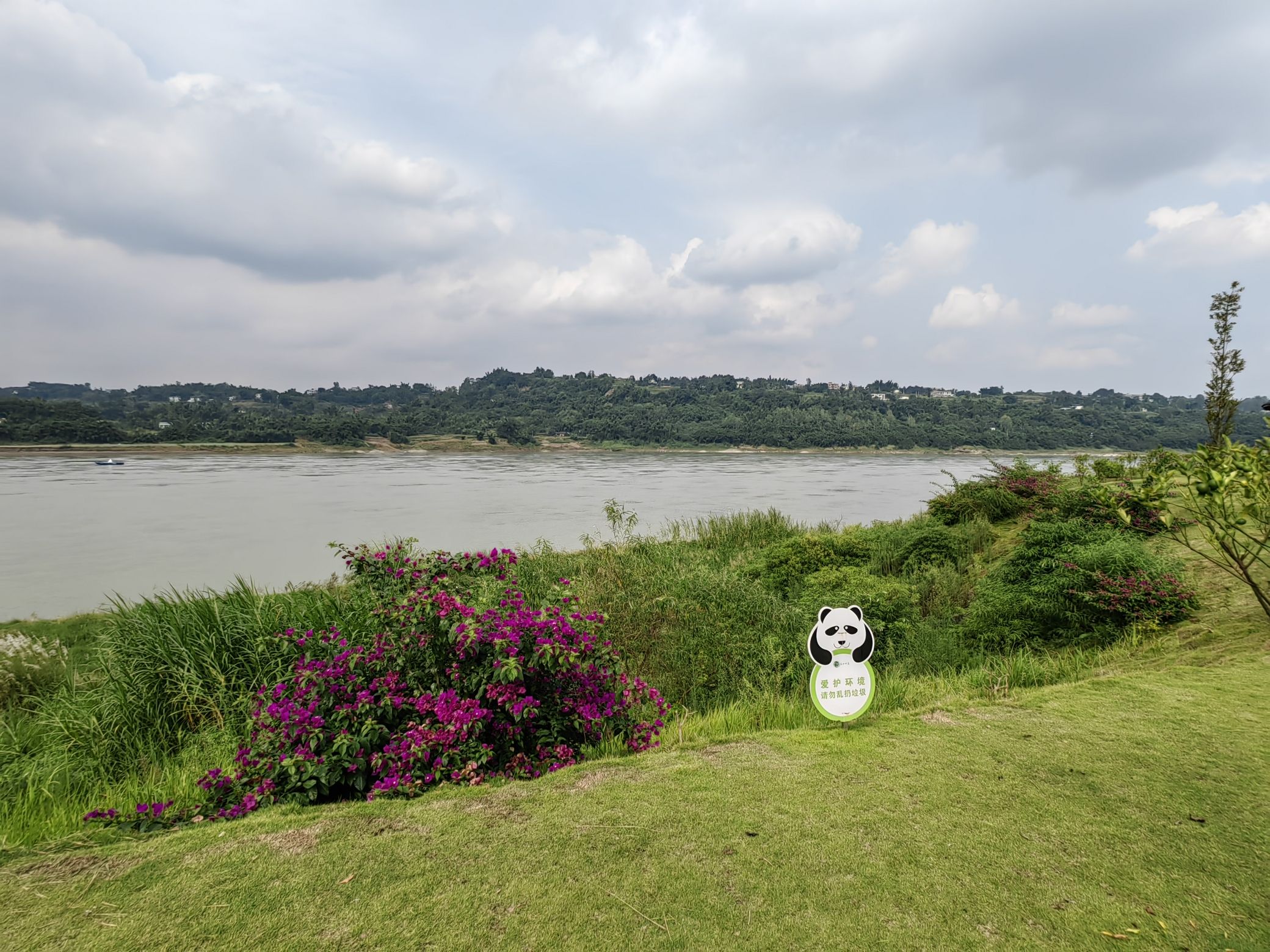 长江竹岛旅行图片 3