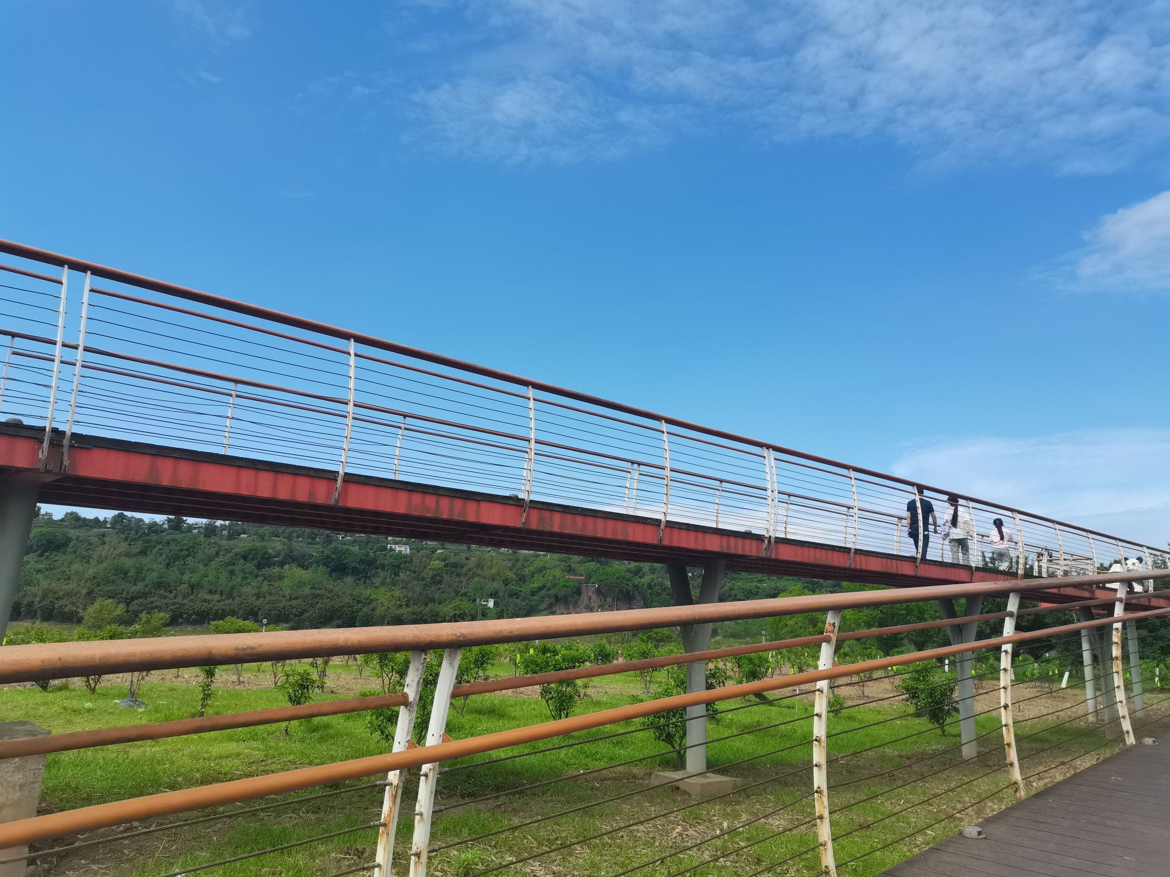 长江竹岛旅行图片 1