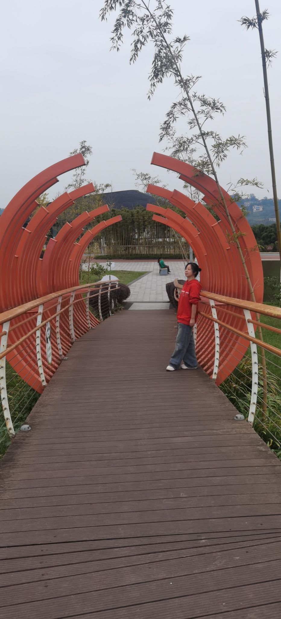 长江竹岛旅行图片 1