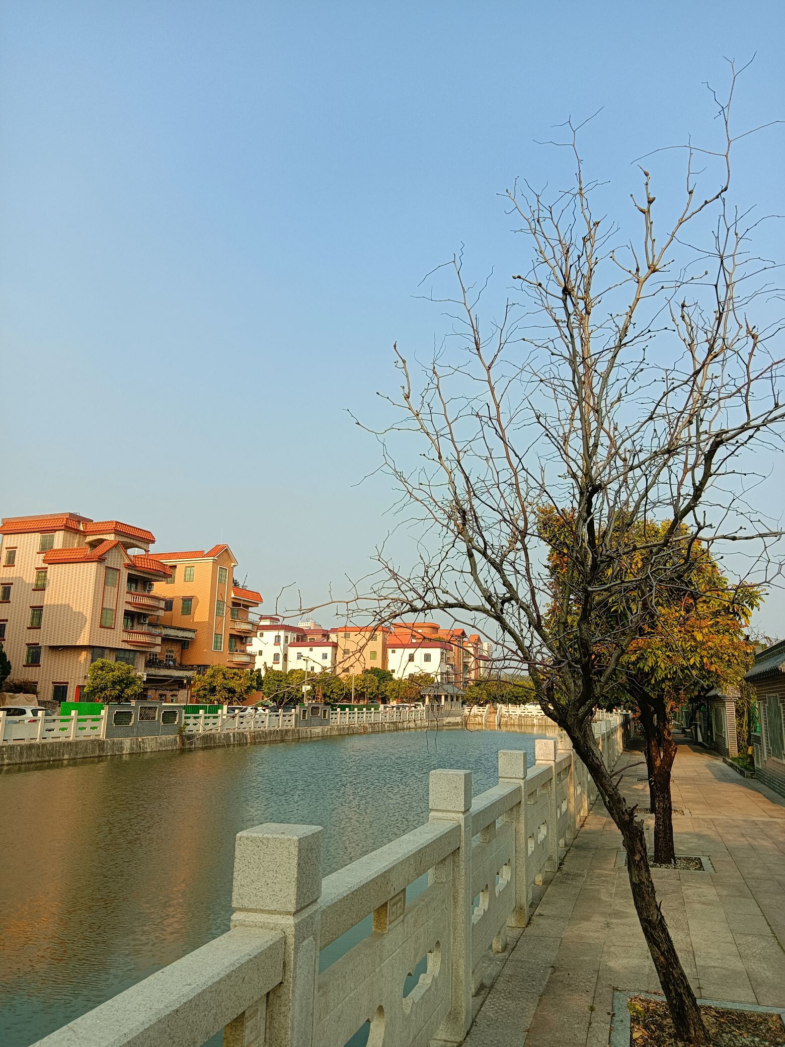 高墩公园旅行图片 2