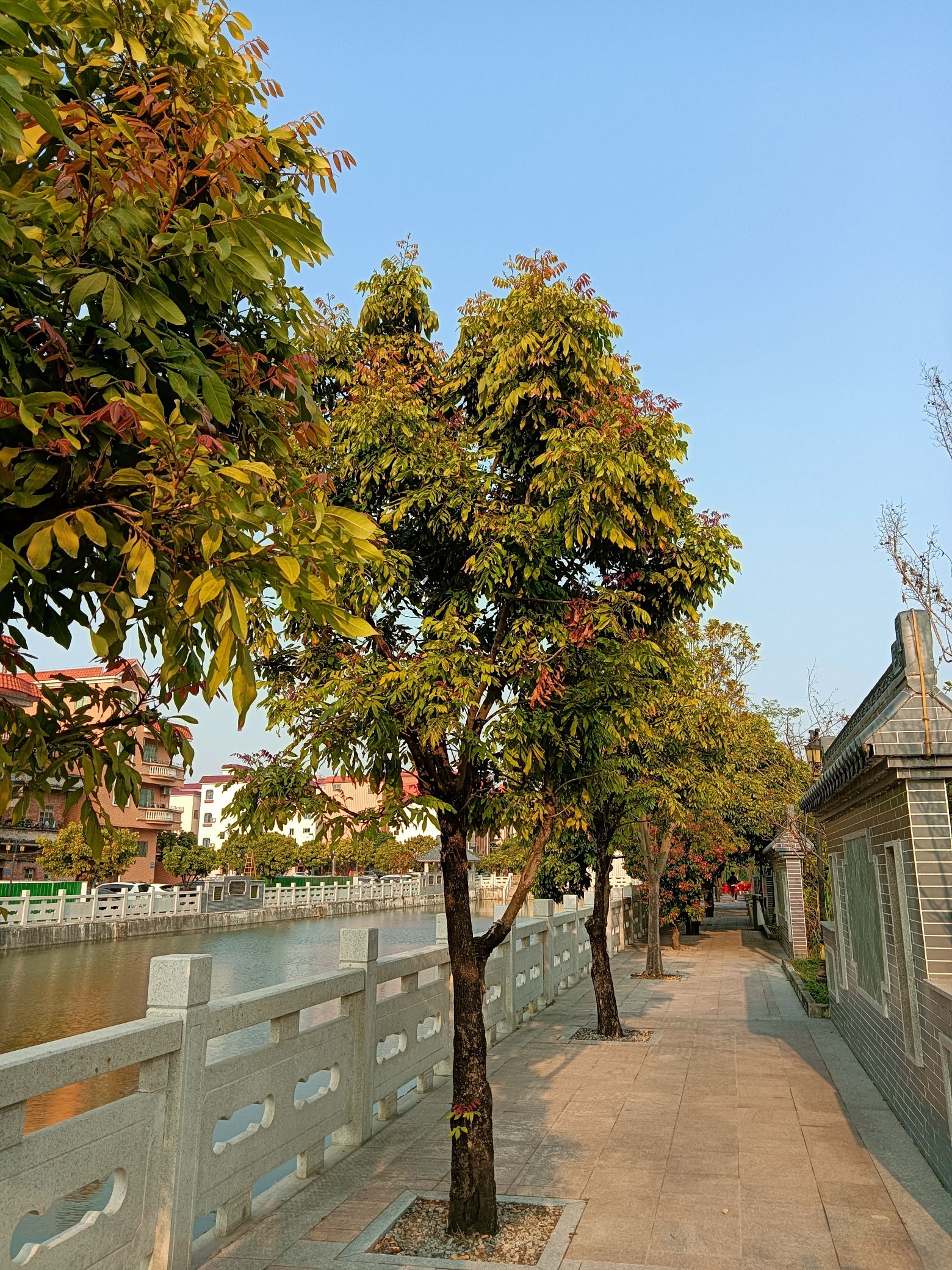 高墩公园旅行图片 3