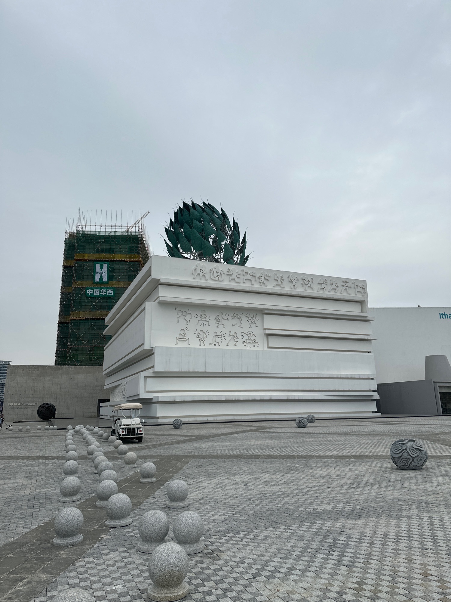 滨海活力区公园旅行图片 1