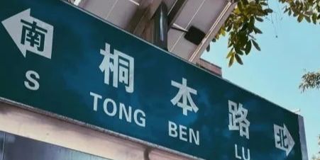 大象公园旅行图片 1