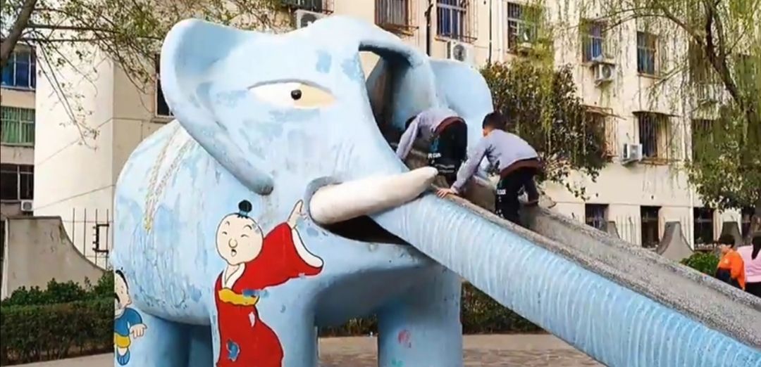 大象公园旅行图片 3