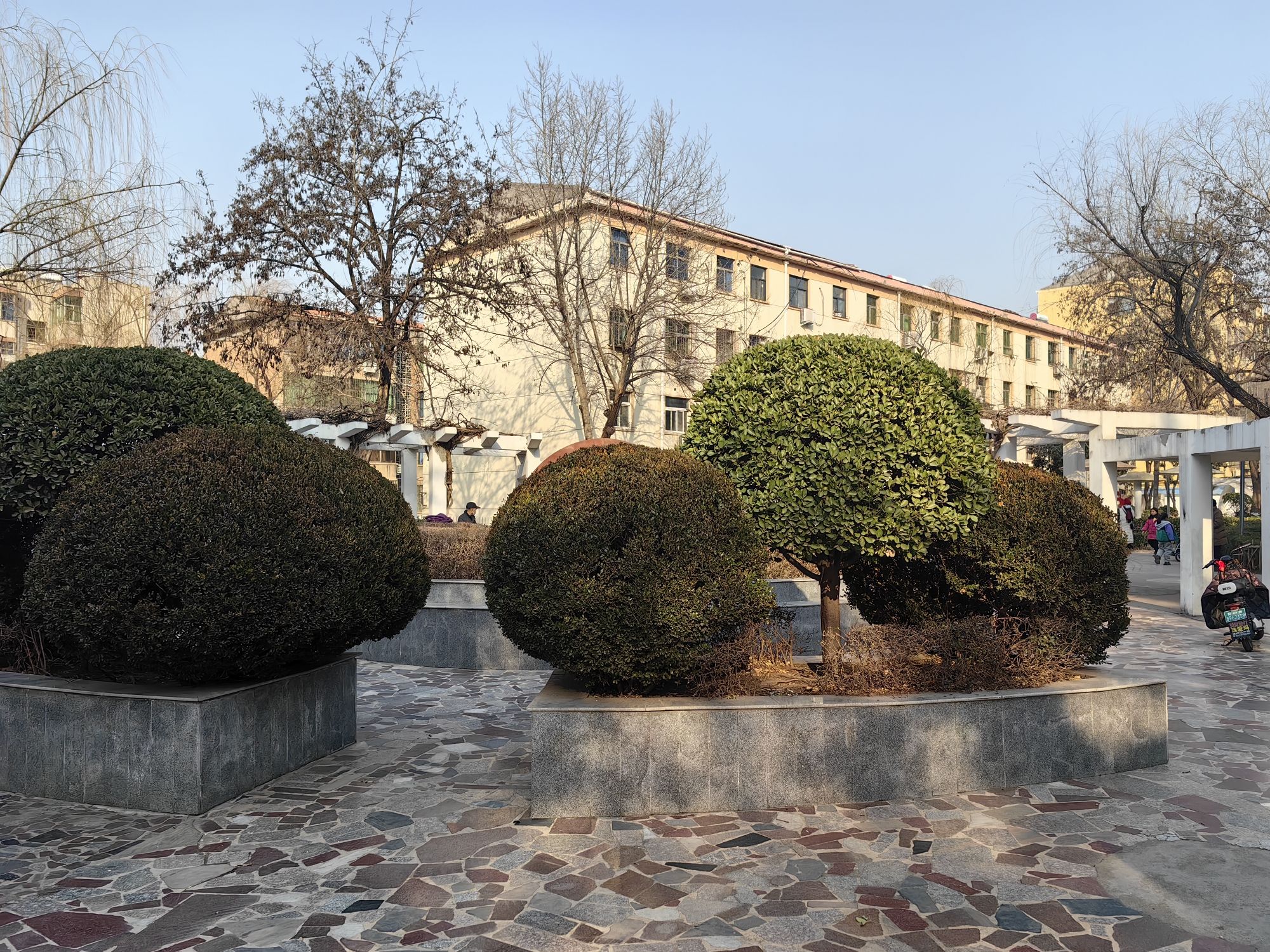 大象公园旅行图片 3