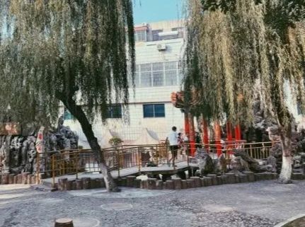 大象公园旅行图片 2