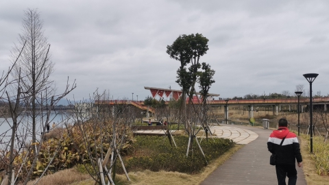 湿地公园旅行图片 3