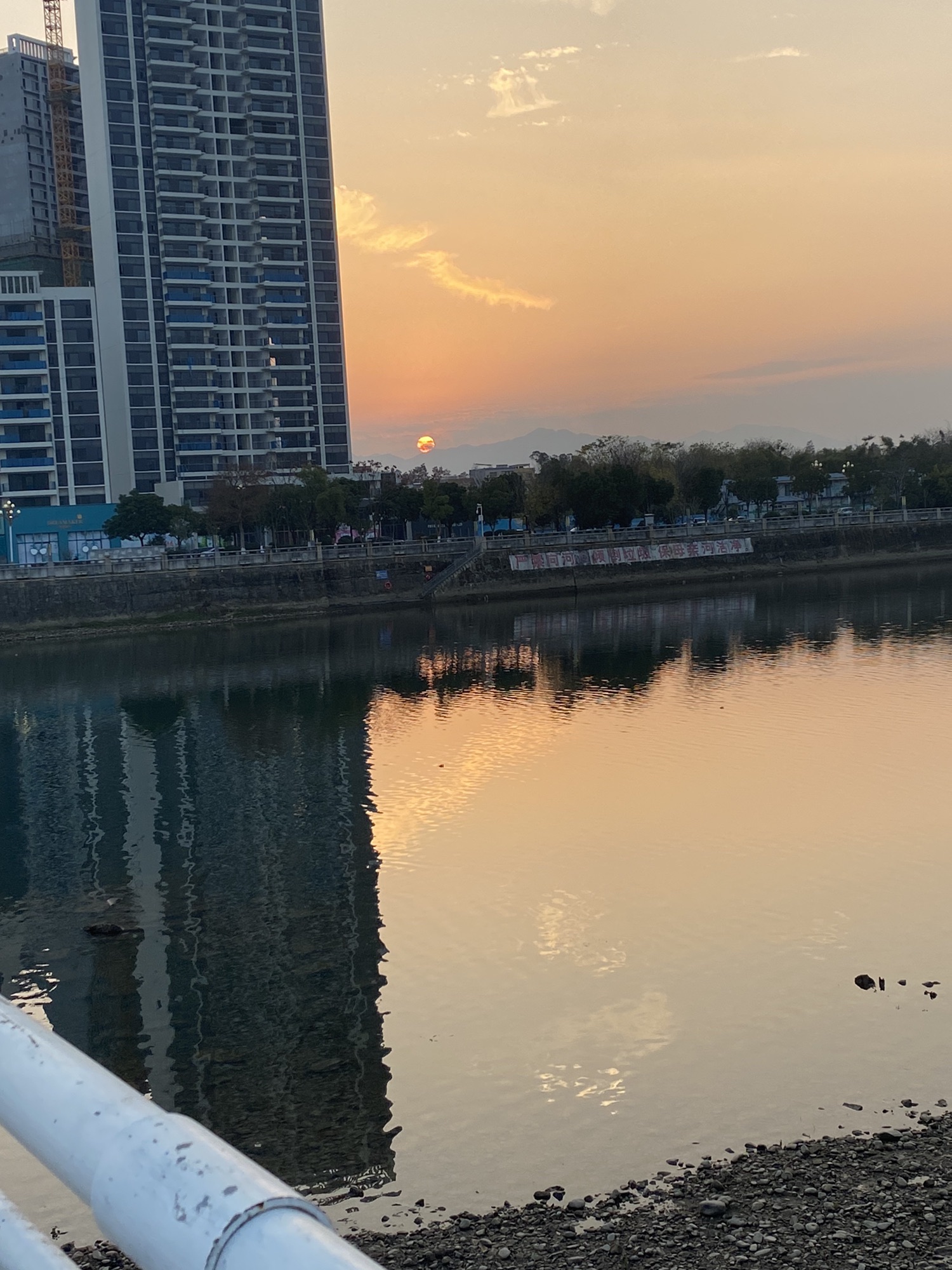 湿地公园旅行图片 3