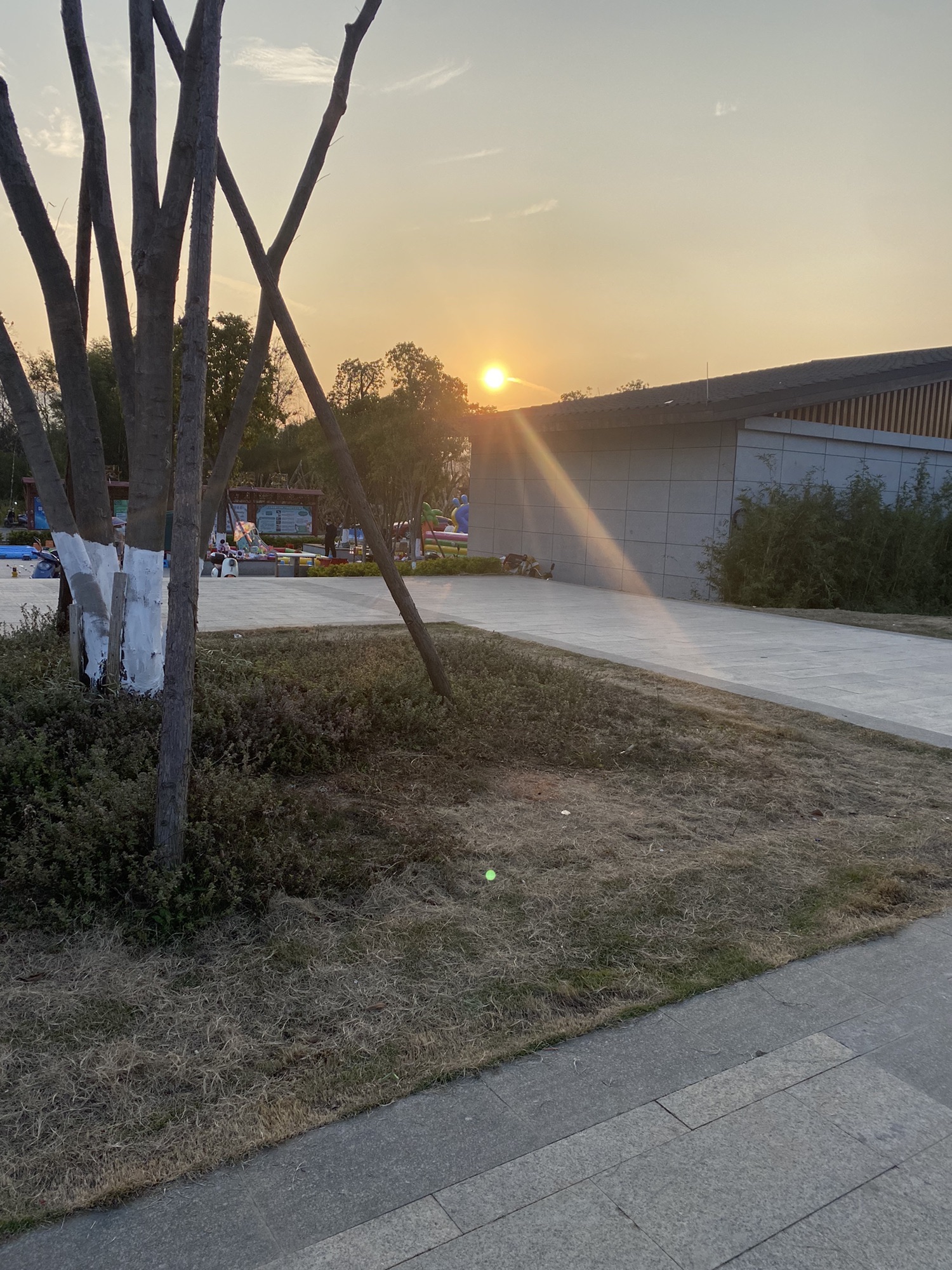 湿地公园旅行图片 1
