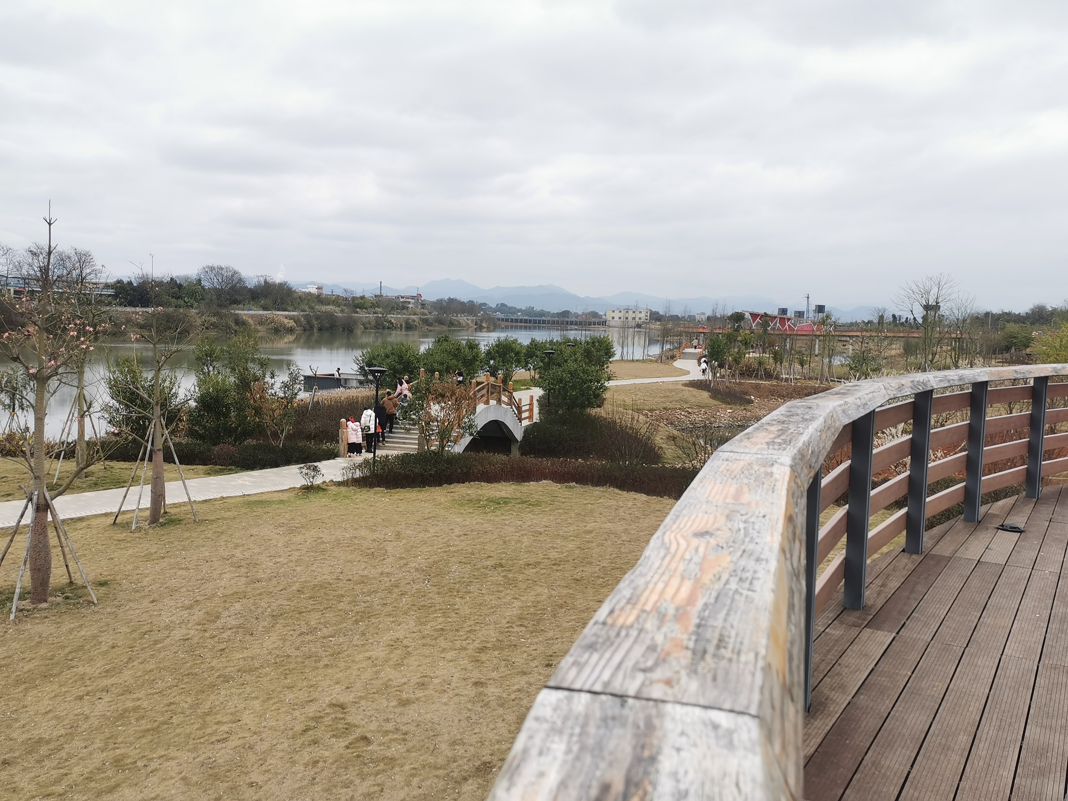 湿地公园旅行图片 1