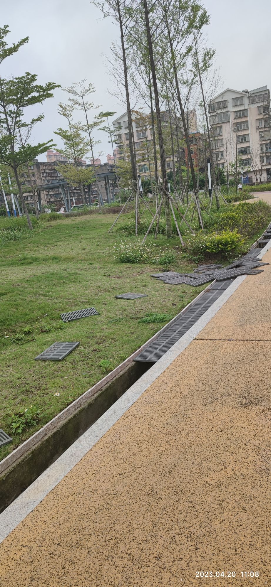 西河公园旅行图片 3