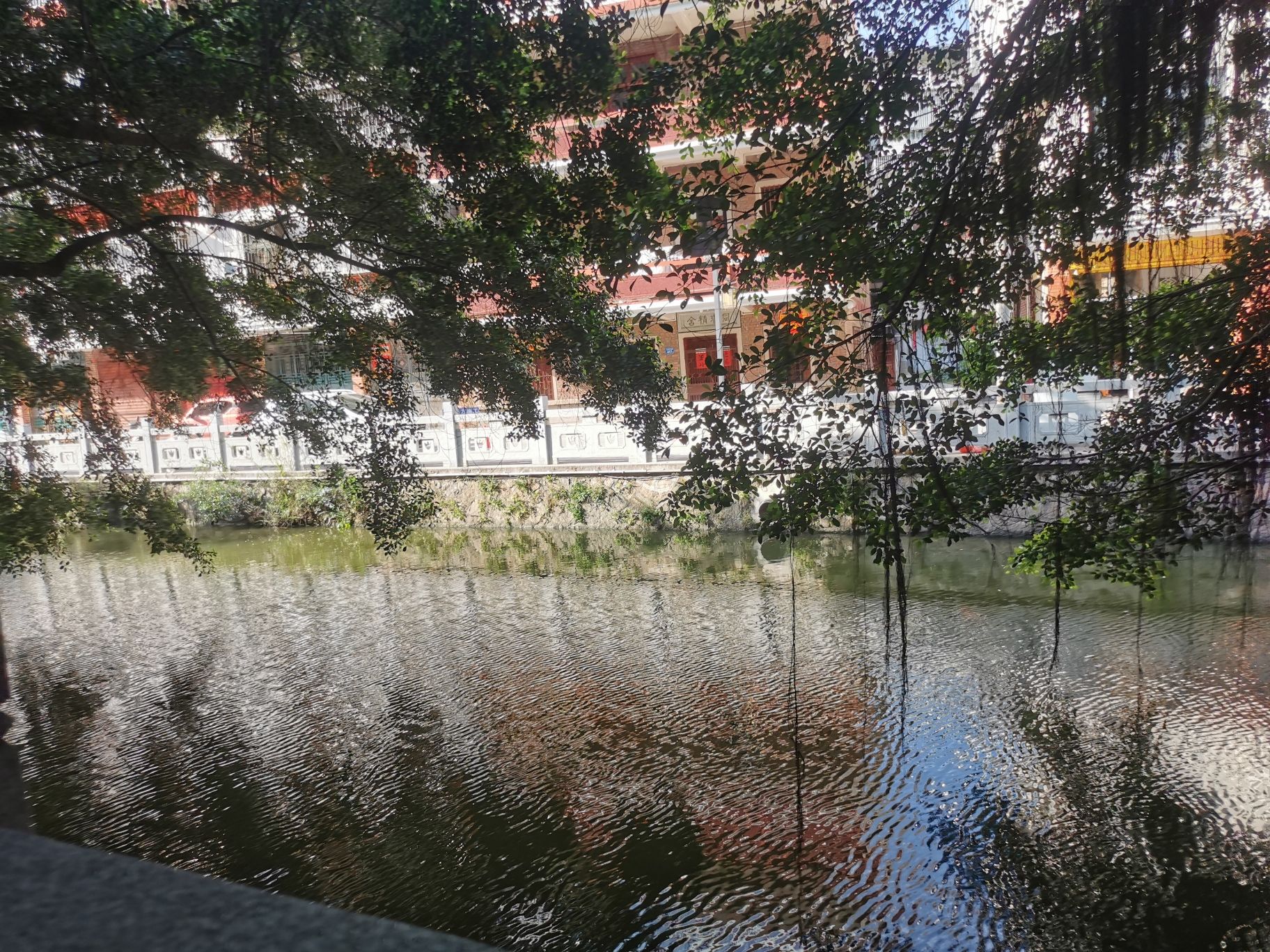 西河公园旅行图片 1