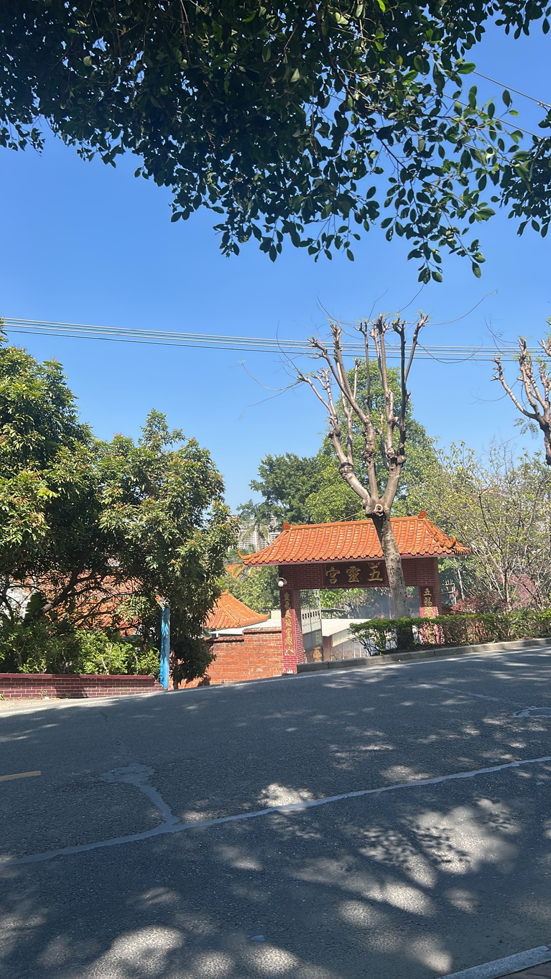 五灵宫实景照片