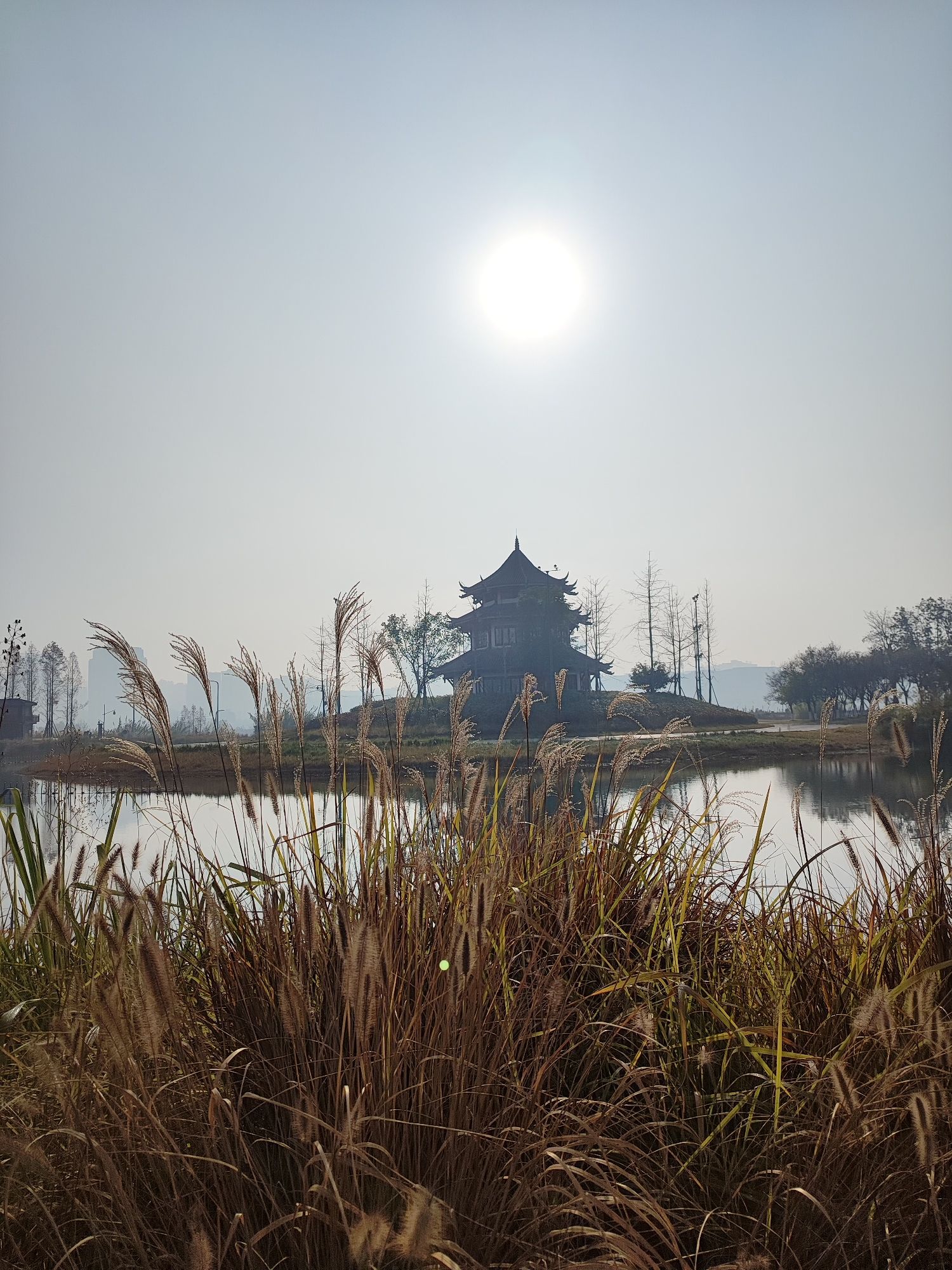 印象嘉陵江湿地公园旅行图片 1
