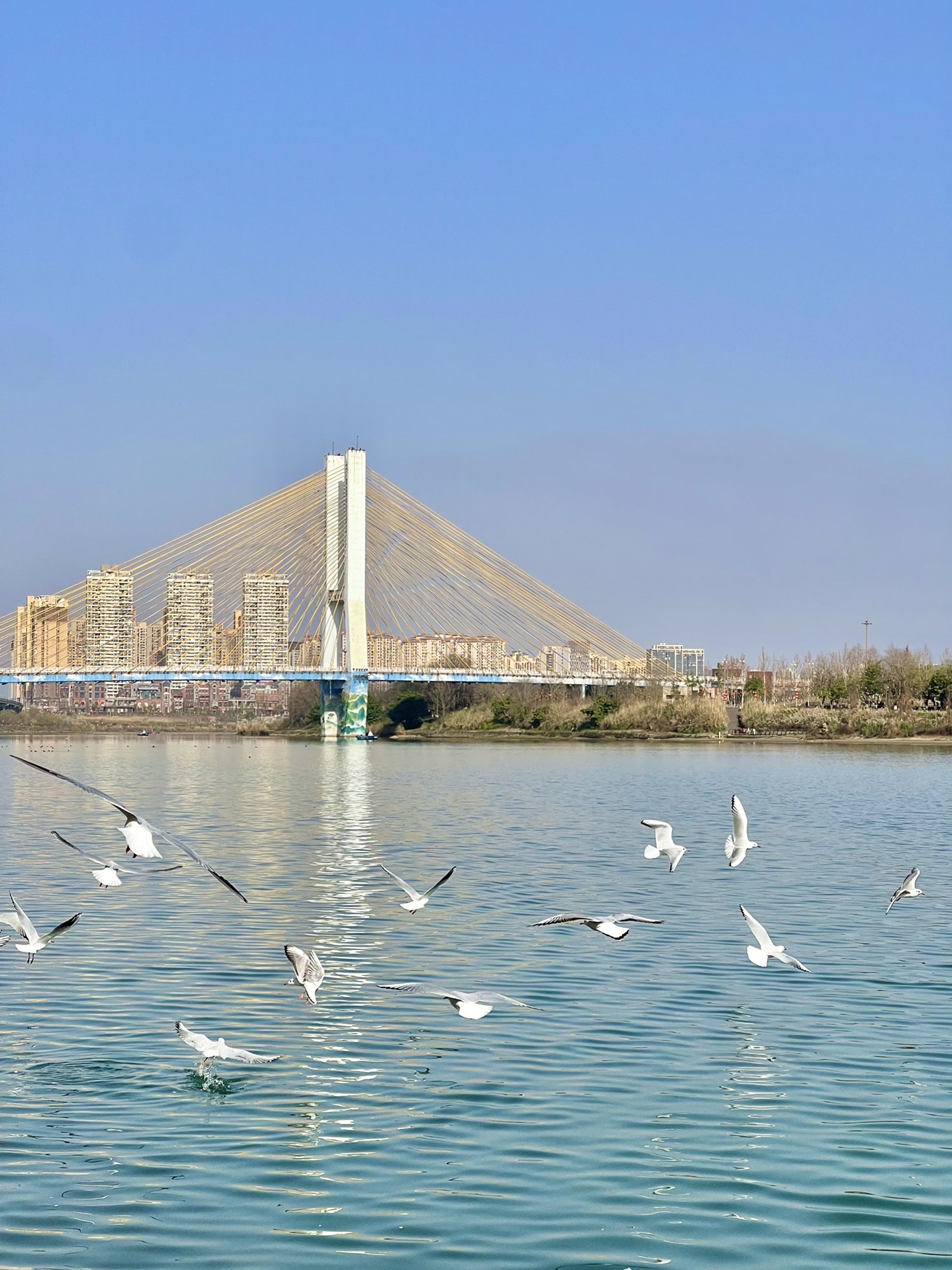 印象嘉陵江湿地公园