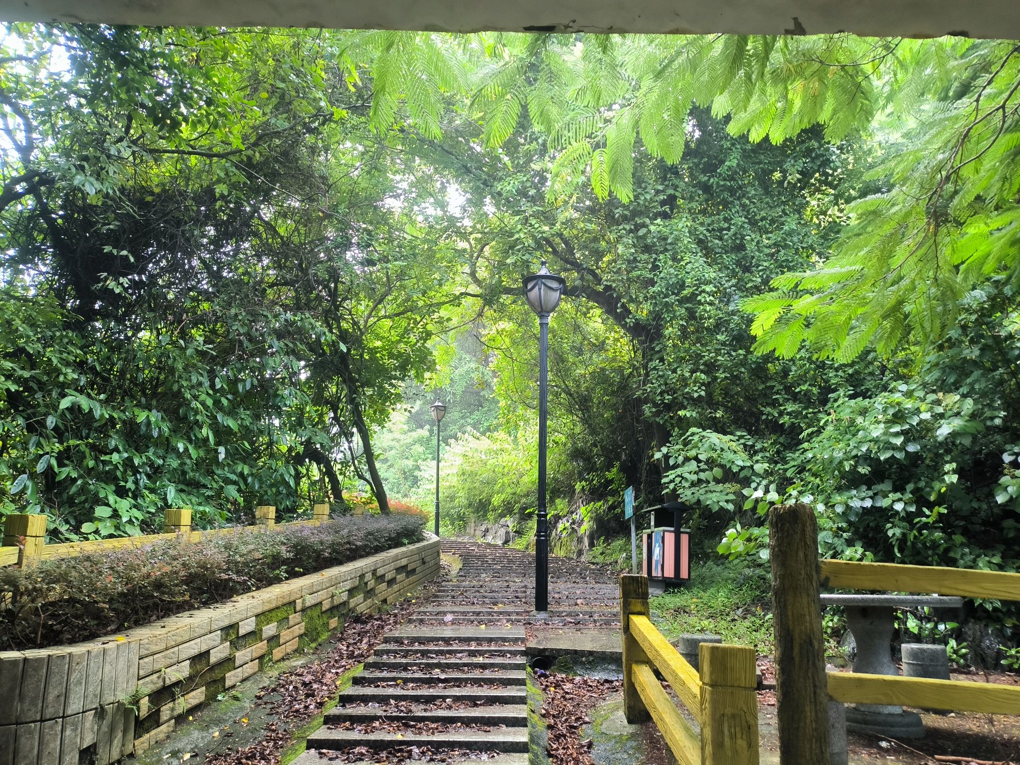 屏峰山公园旅行图片 2