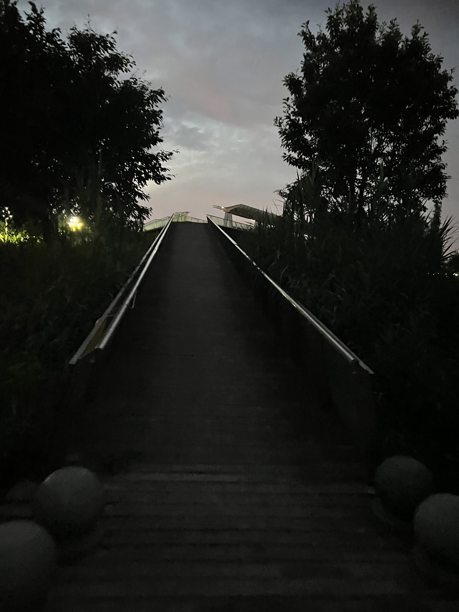 大佛寺湿地公园旅行图片 2
