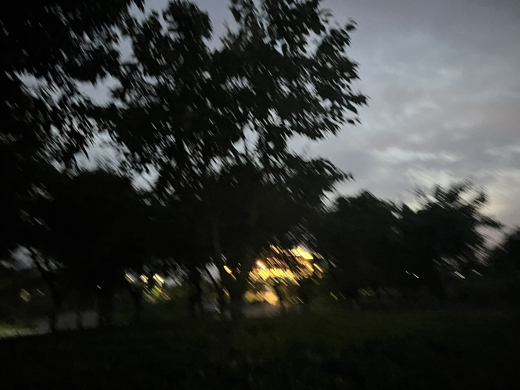 大佛寺湿地公园旅行图片 3