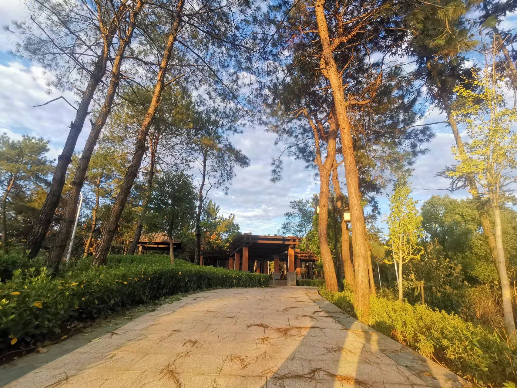霞客公园旅行图片 1