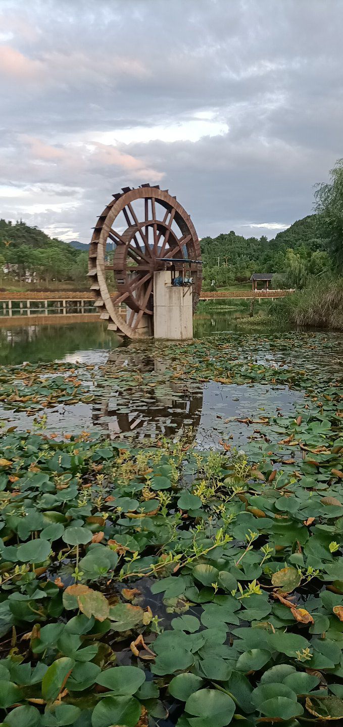 凤冈县翠湖湿地公园旅行图片 1